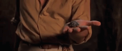 A character holding a scarab beetle in their hand while wearing a beige shirt, with a facial expression of caution or concern.